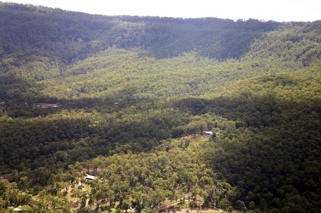 Wallaby Ridge Retreat Mount Tamborine Eksteriør bilde