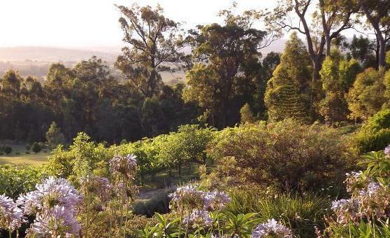 Wallaby Ridge Retreat Mount Tamborine Eksteriør bilde
