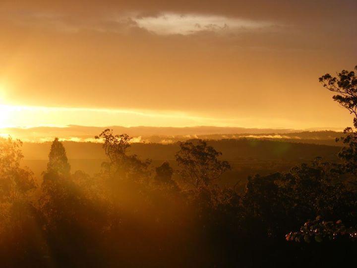 Wallaby Ridge Retreat Mount Tamborine Eksteriør bilde